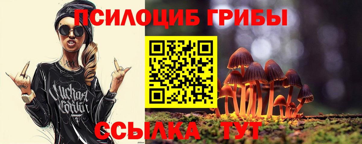 Галлюциногенные грибы мухоморы  где купить наркоту  Галлюциногенные грибы Cubensis  Чехов  Вход с VPN 