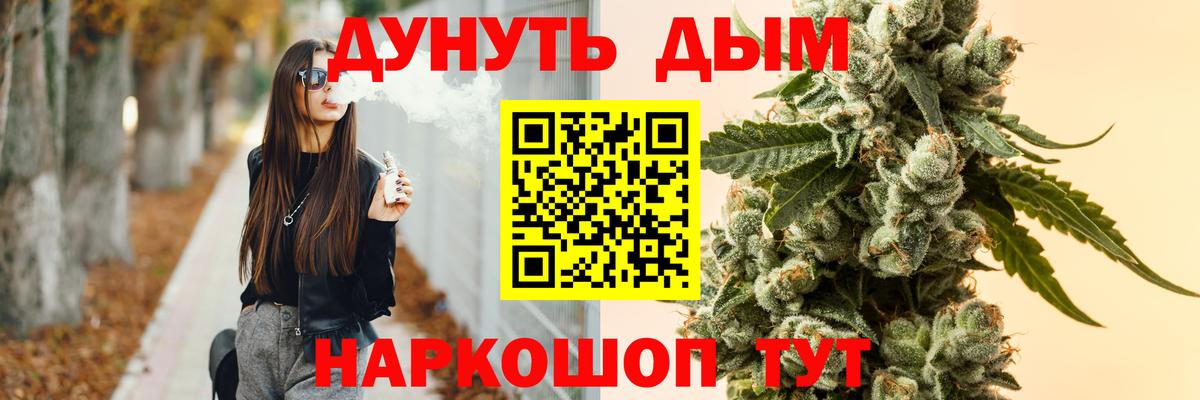 Канабис гибрид Чехов